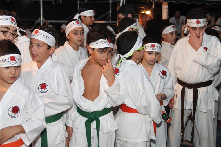 Martial Arts Festival